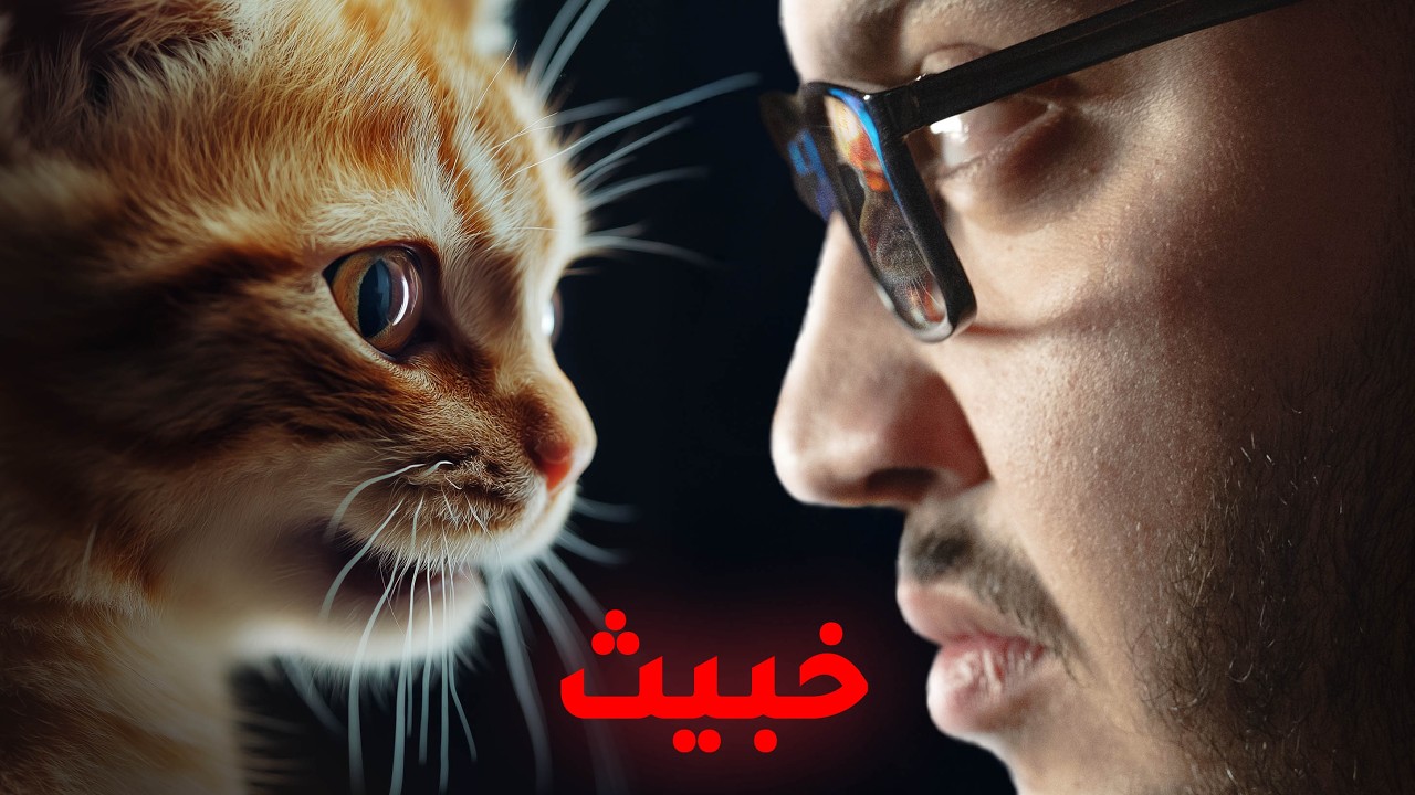 احنا مخدوعين في القطط