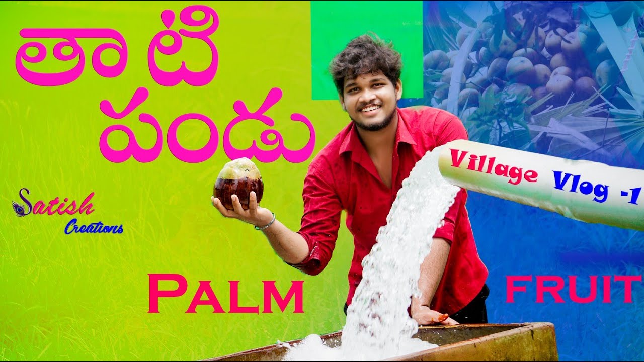 తాటి పండు (Palm Fruit) Village Vlog Ft. Satish Creations