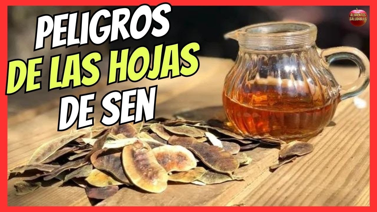 🚽  PELIGROS DE LAS HOJAS DEL SEN (CASSIA ANGUSTIFOLIA) 🚽 EL LAXANTE NATURAL DE EFECTO INMEDIATO