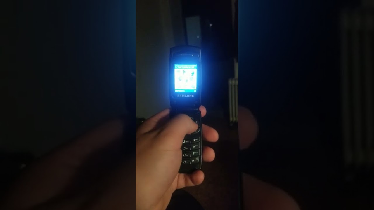 Обзор на SAMSUNG SGH-X200 / Полный комплект у меня попался
