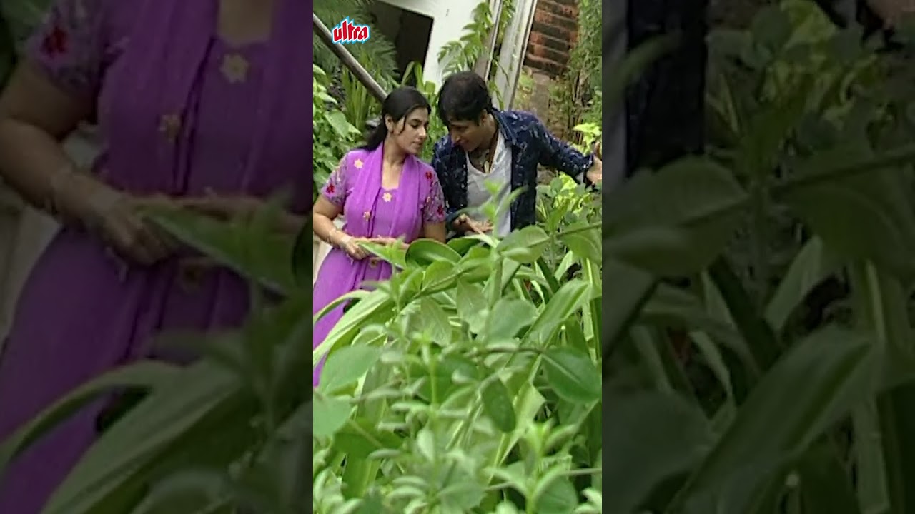 செல்வி - Selvi | Radhika Sarathkumar | Ultra Tamil TV Serial #shorts #tamilshorts
