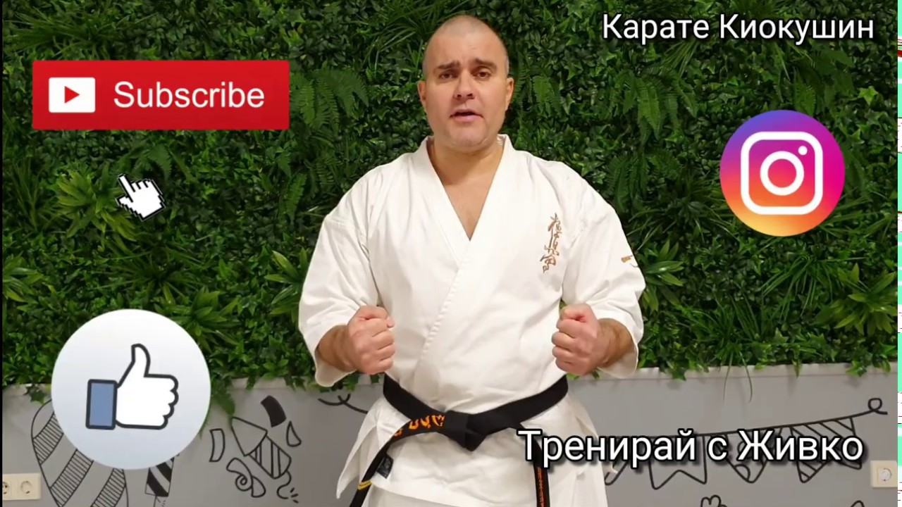 Основни карате ритници в карате Киокушин
