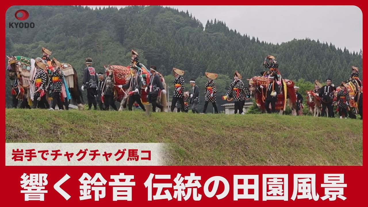 響く鈴音 伝統の田園風景 岩手でチャグチャグ馬コ