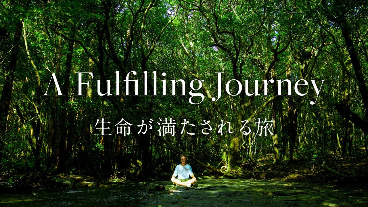 [屋久島 | Yakushima] A Fulfilling Journey | 生命が満たされる旅 [Documentary] [4K]