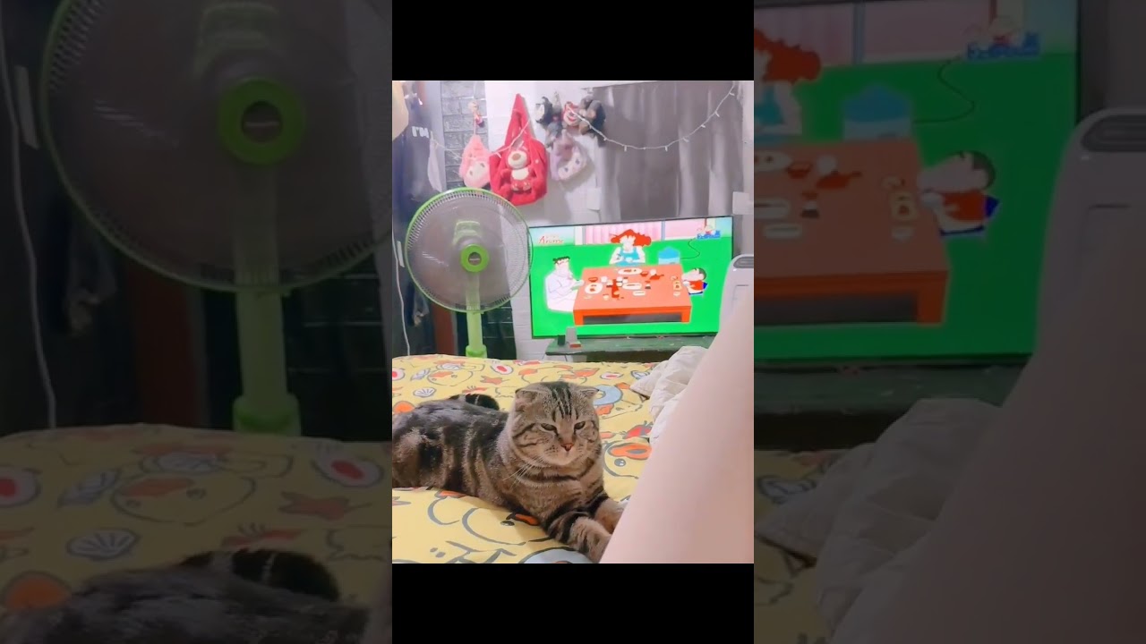 โสดด❤️💦