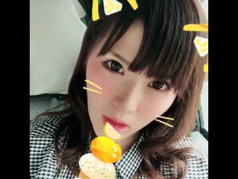 かわいい猫