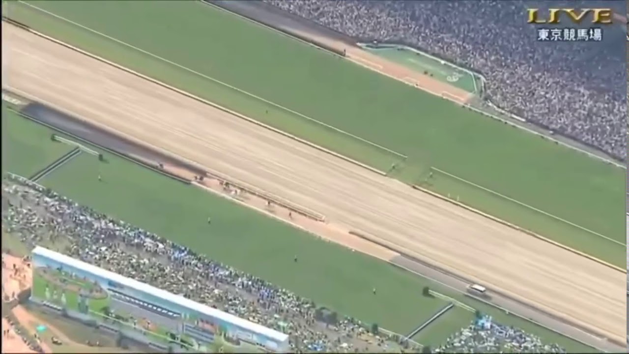 日本ダービー 2019 本馬場入場