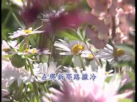 当我跑尽应跑道路 （诗歌773）