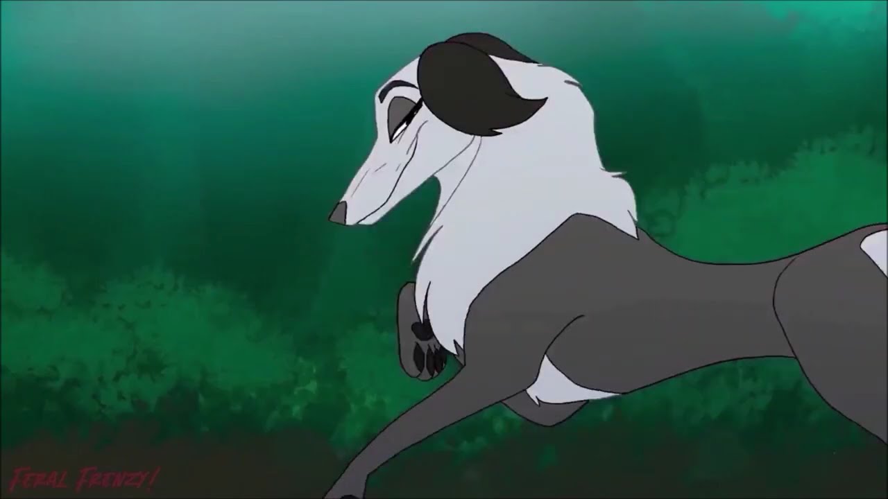 ζ Candice (Feral Frenzy Artistic Animation)