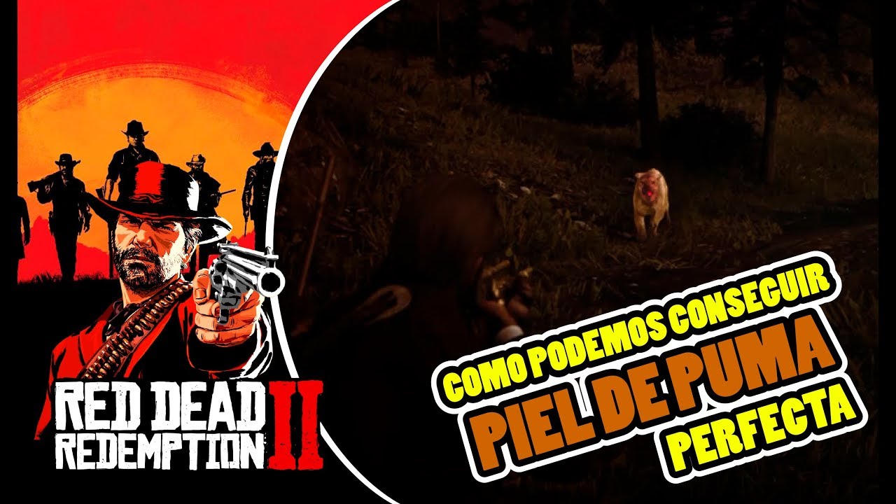 * Cazar y conseguir PIEL PERFECTA DE PUMA* CAZANDO EN RED DEAD REDEMPTION 2 | RDR2