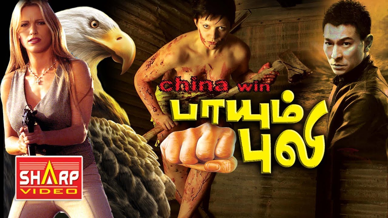 தமிழ் dubbed சூப்பர் ஹிட் படம் Storm Riders