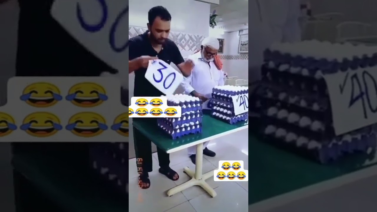 🐔🐔 egg
