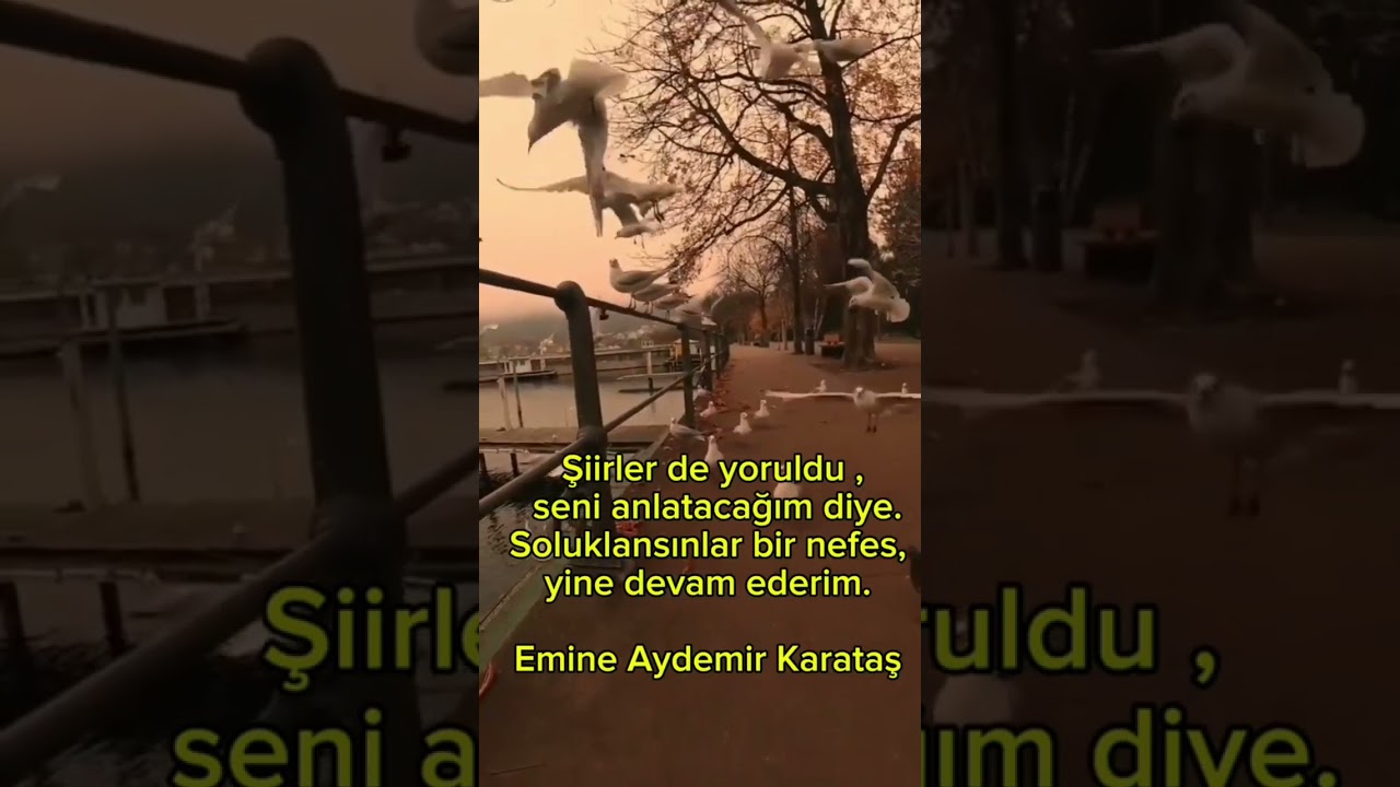 🎶🎤# Evanescence                        #My Immortal  #siirce #şair #guzelsiirler #love #siirim