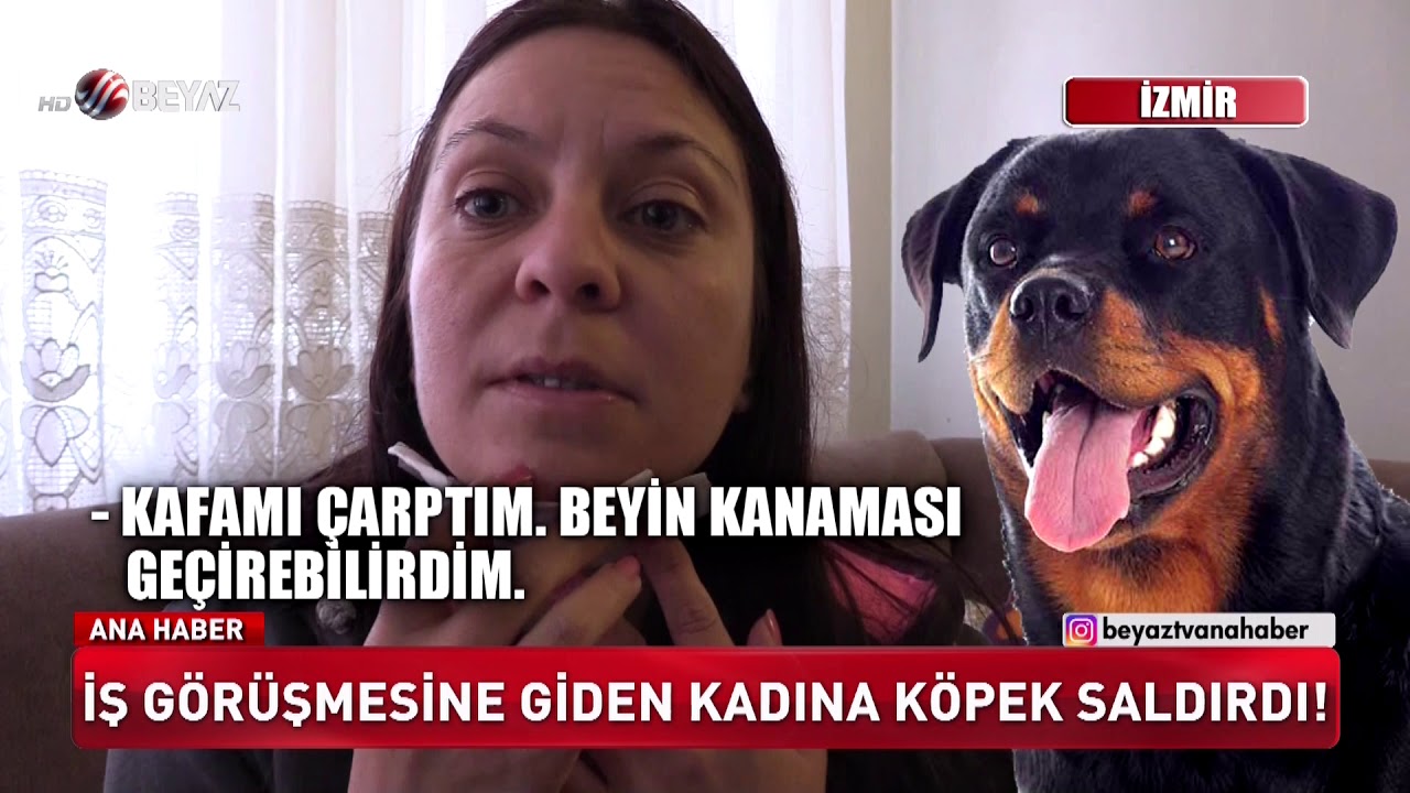 İŞ GÖRÜŞMESİNE GİDEN KADINA KÖPEK SADIRDI!