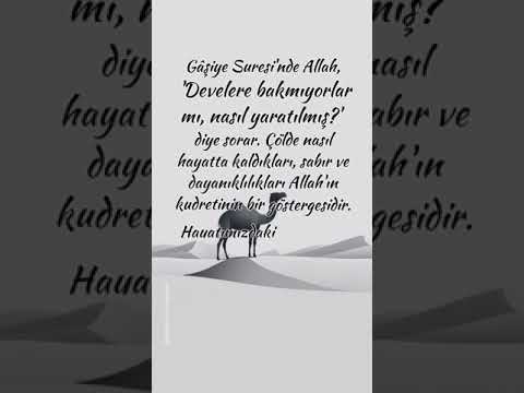 🌙 Hayırlı Cumalar! | Sevgi ve Bereket Dolu Cuma Mesajları 2024