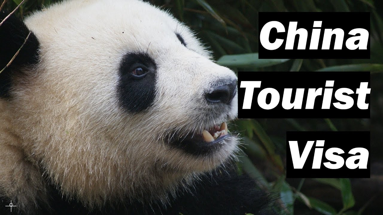 🇨🇳 How to apply for a China Tourist Visa