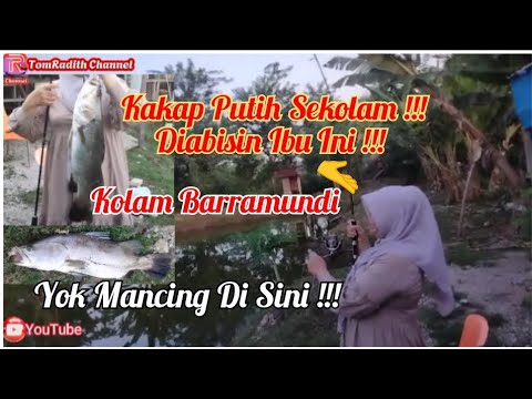 🔴 Ibu Ini Jago Mancing !!! Kakap Putih Sekolam Diabisin Semua !!!