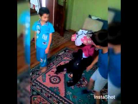 Üç Kafadarın Ters Namaz Şakası
