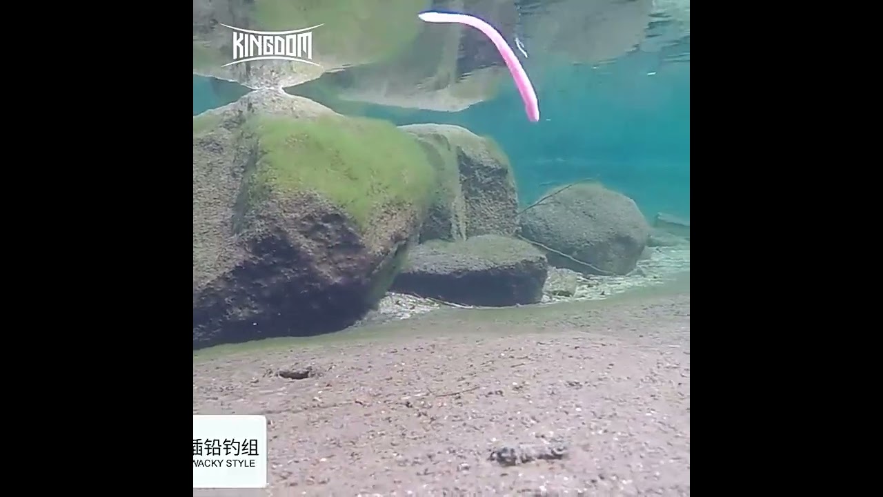 Силикон KNIFE TAIL WORM KINGDOM