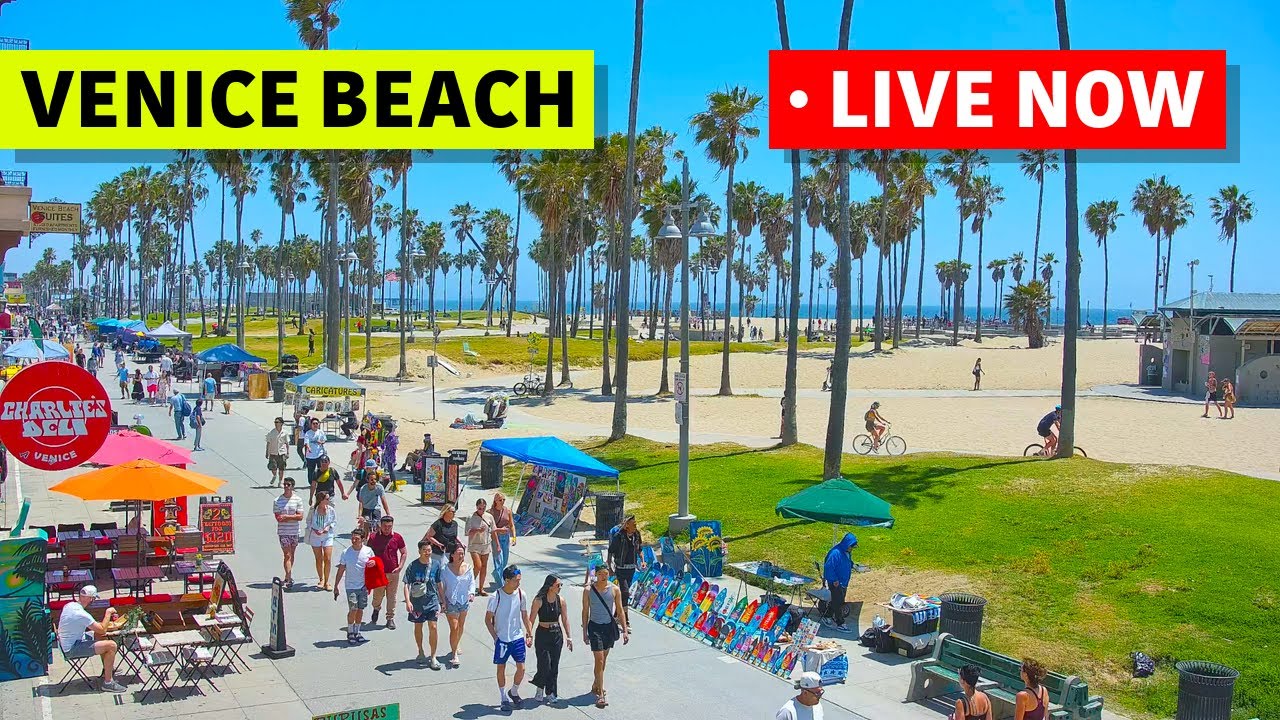 🔴 Los Angeles Live Stream ·Venice Beach Live Camera ·  Venice V Hotel Live · California Webcam