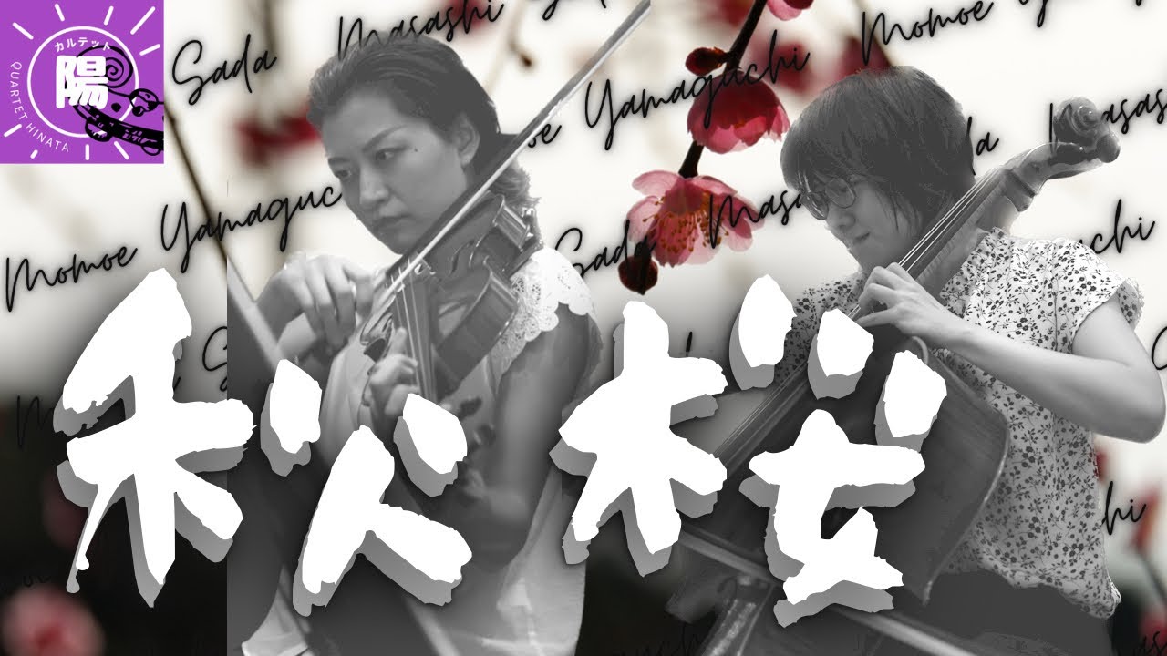 【低弦族】山口百恵「秋桜」/ Momoe Yamaguchi  