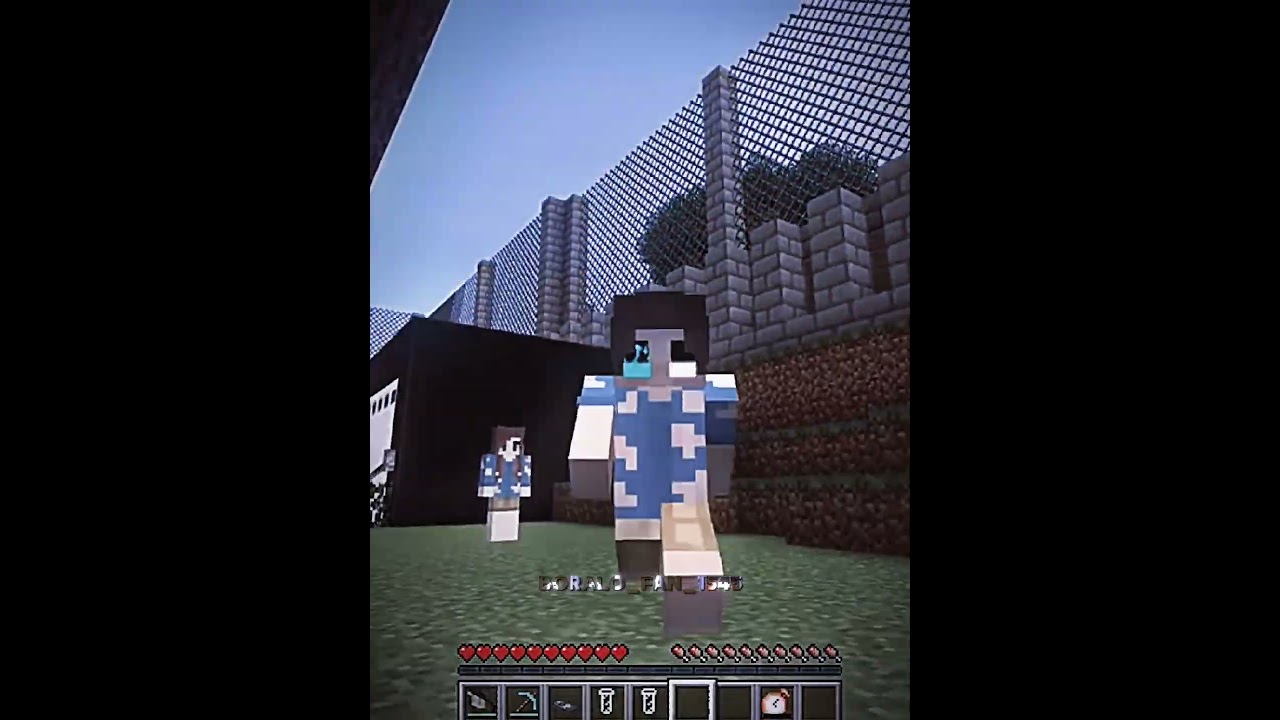 | Nitroxine + HyperOxine | #minecraft #boralo #edit #boraloedit #keşfet #shorts @BoraLo #viral