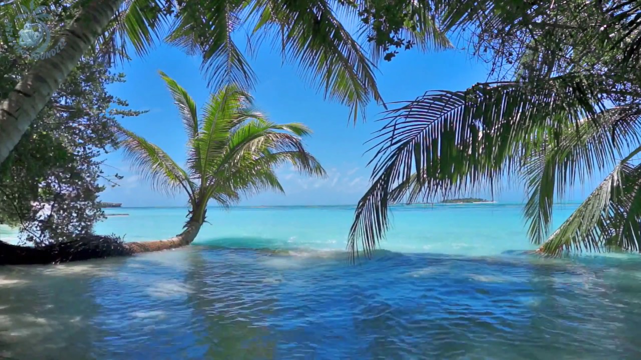 🌴 Ocean Ambience on a Tropical Island (Maldives) with Soothing Waves & Paradise View for Relaxation.