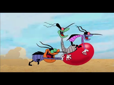 हिंदी Oggy and the Cockroaches - CARTOON LESSON (S03E32) - Hindi Cartoons for Kids