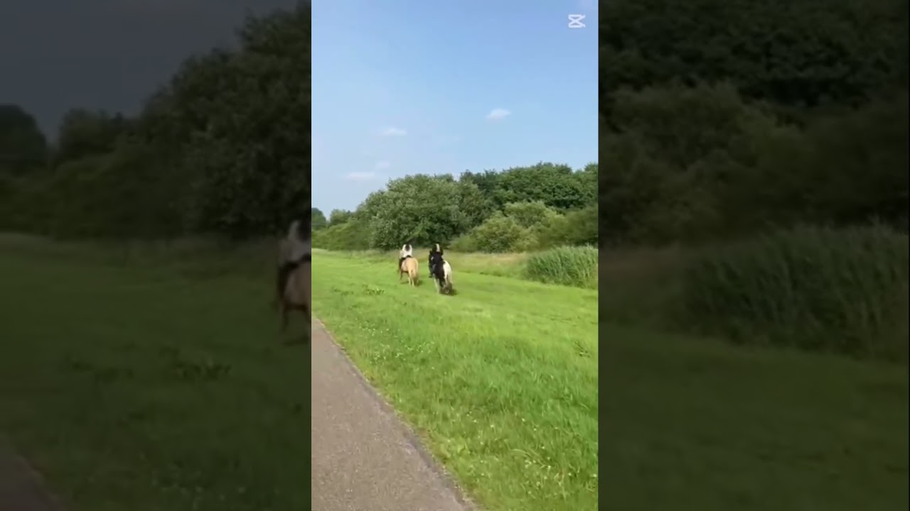#🔥🔥 #pony #❤️❤️ #horseriding