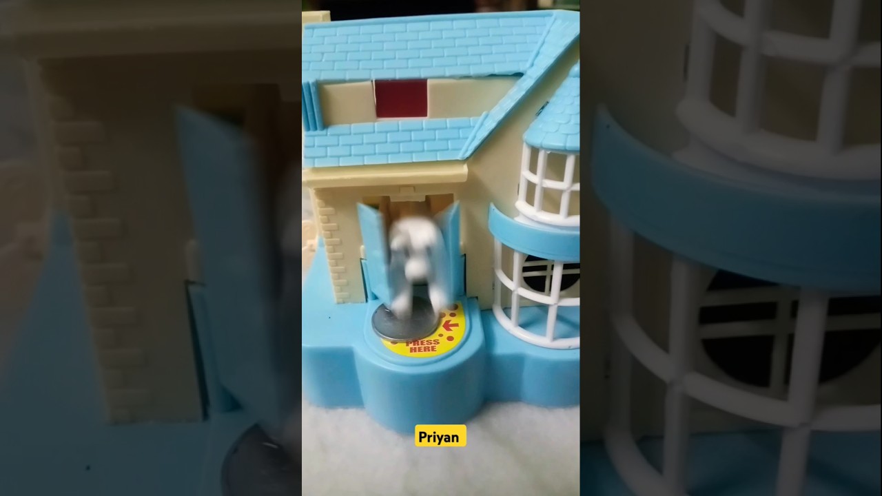 😍 Puppy house 🤩 #priyan #puppyhouse #priyan #shorts #toys