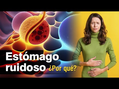 👨🏻‍⚕️ Ruidos en el estómago - Por qué suena y cuándo es normal 💥🩺
