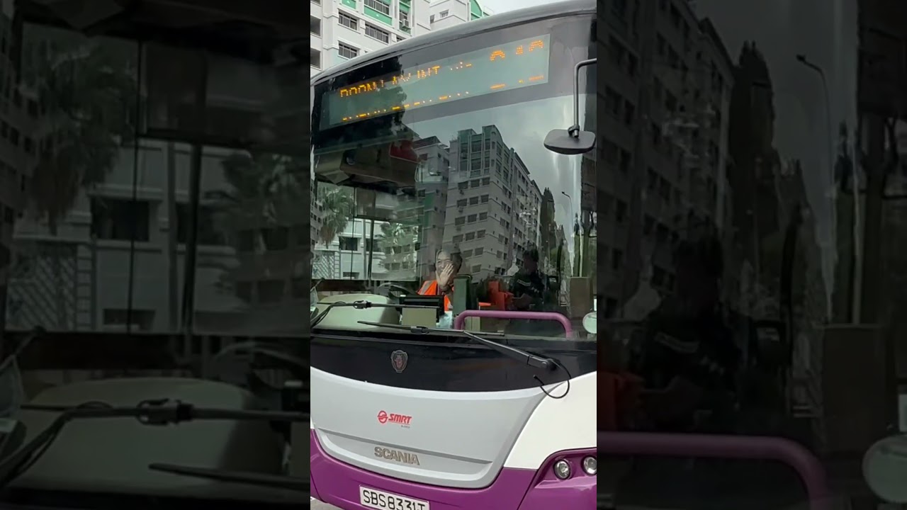 [ SMRT ] SBS8331T on Service 242 | Scania K230UB Euro 4 | SBS8300H Productions