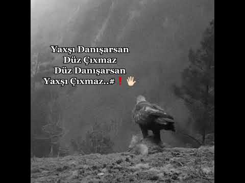 🖤 SOXUCU SÖZLƏR.PEÇAT SÖZLƏR(bir.memmedoff)