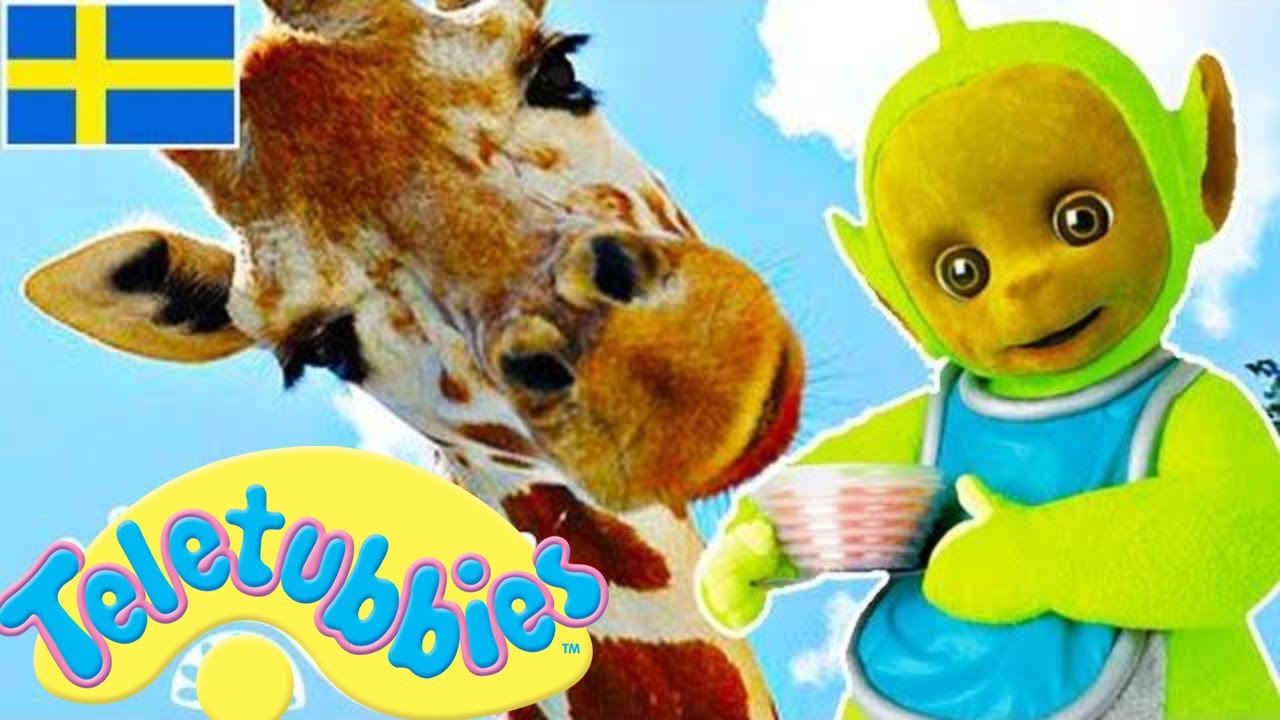 ☆ Teletubbies Svenska ☆ Hela Episoden Sammanställning - 1 Timme ☆ Visar för barn ☆