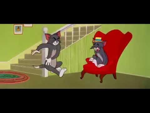 ᴴᴰ Tom and Jerry, Episode 106 - Timid Tabby [1956] - P1/3 | TAJC | Duge Mite