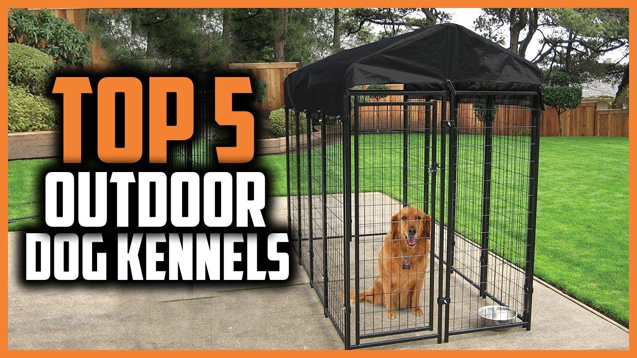 ✅ Top 5 Best Outdoor Dog Kennels of 2024