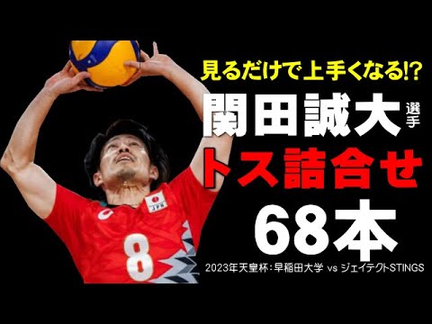 【トス詰合せ】見るだけで上手くなる！？全日本セッター関田誠大選手のトスワーク　#関田誠大 #volleyball #バレーボール
