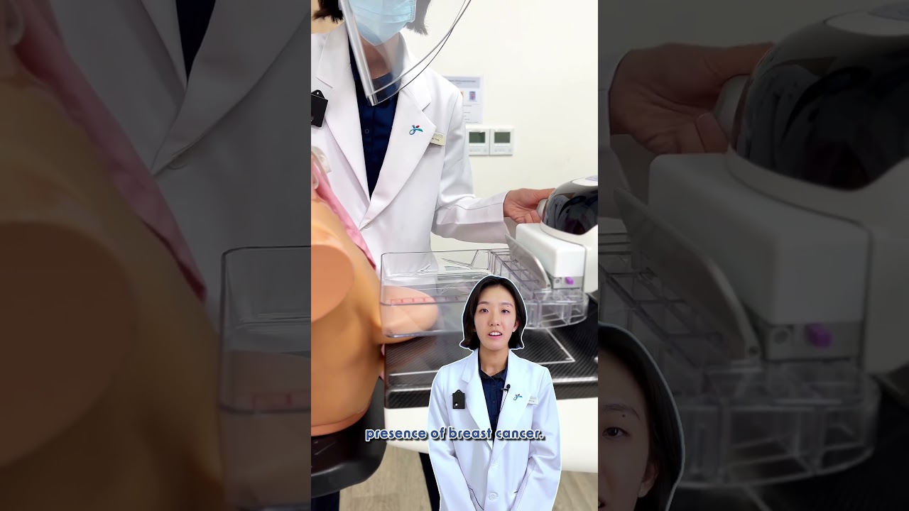 🩻 What happens during a mammogram?