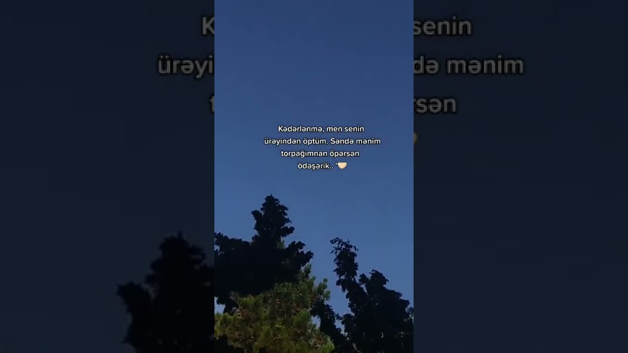 😄💔 Whatsapp üçün Maraqlı sevgiyə aid statuslar ayrılığa aid qəmli video Sounds App 2022 Menali video