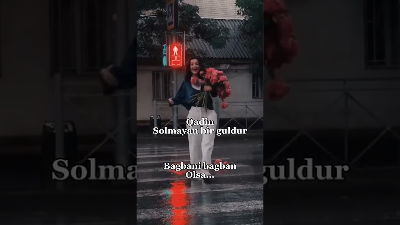 🎶🍃 Whatsapp ucun maraqli,MƏNALI statuslar,status ucun videolar,QEMLİ WHATSAPP STATUSLARI 2022