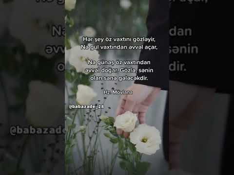 🎶🍃 Whatsapp ucun maraqli,MƏNALI statuslar,status ucun videolar,QEMLİ WHATSAPP STATUSLARI 2023