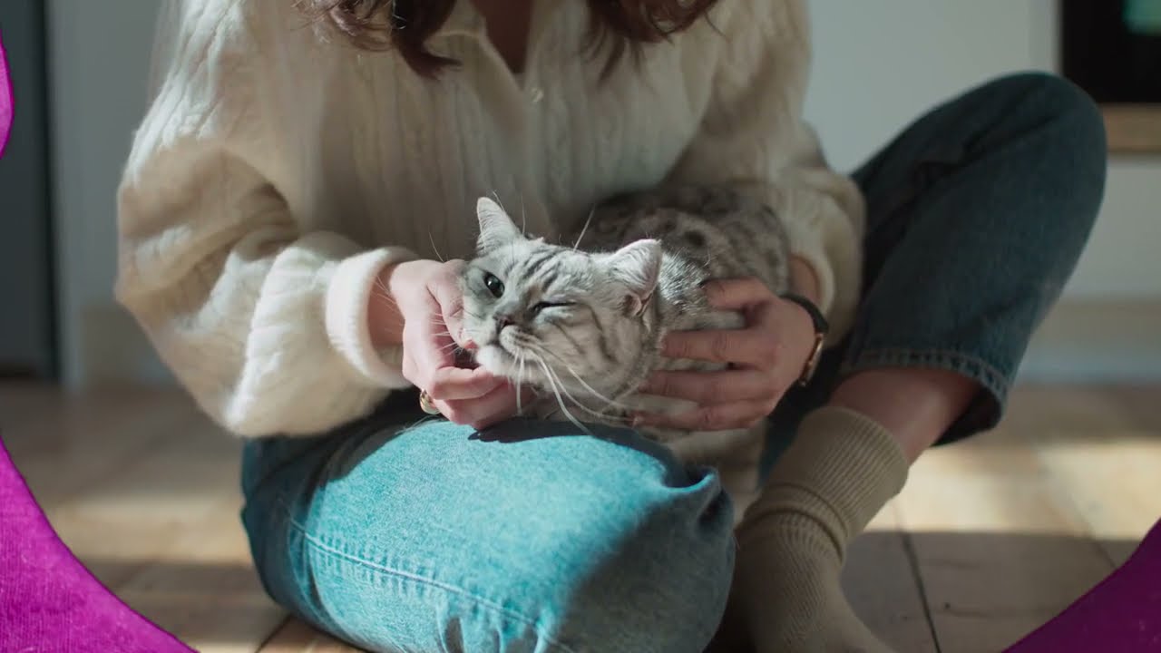Реклама Whiskas 