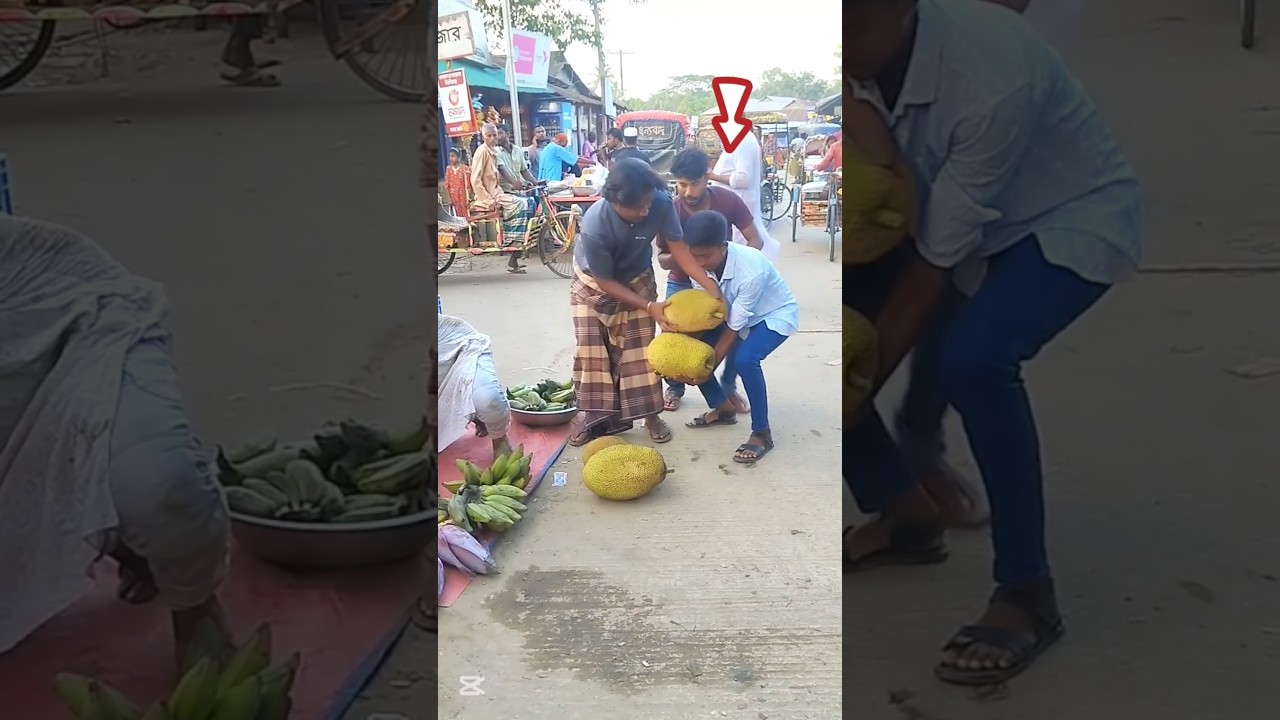 🤣🤩🤫 Who took the jackfruit? #super funny #viralshort #United status