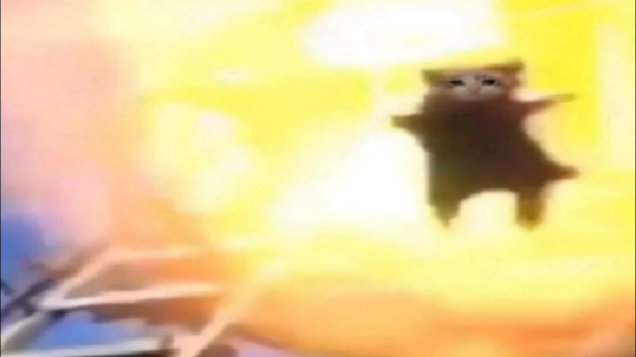 1 Minute of Flying Cats