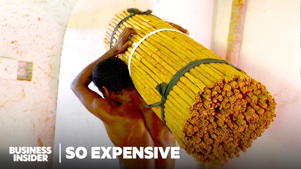 10 Expensive Foods Across The World | So Expensive | Business Insider Marathon