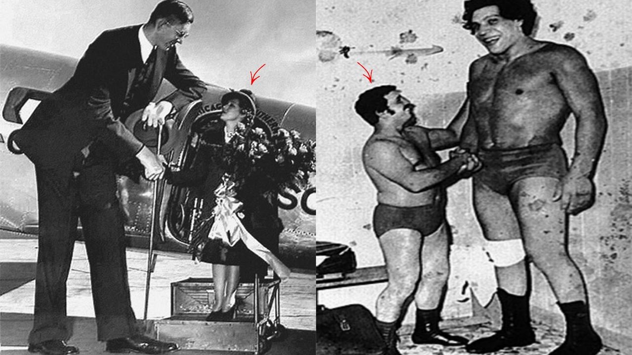 10 GIGANTES REALES Que No Creeras Que EXISTIERON