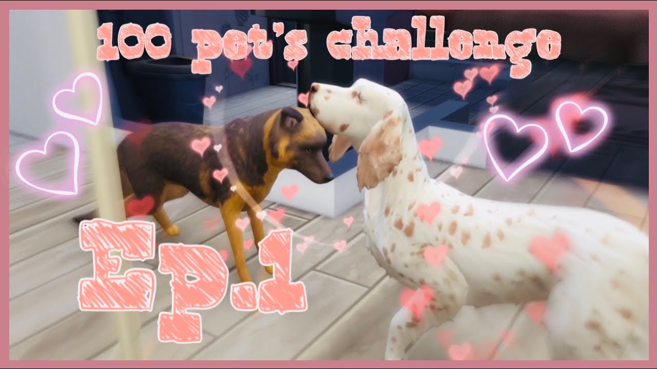 100 PETS CHALLENGE|SIMS 4|EP.1|Our first generation begins!