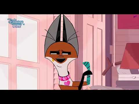 101 dalmatians street stomach growls