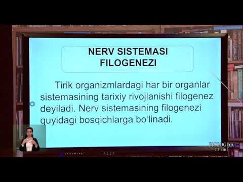 11-синф. Биология дарси. 20.04.2020 й.