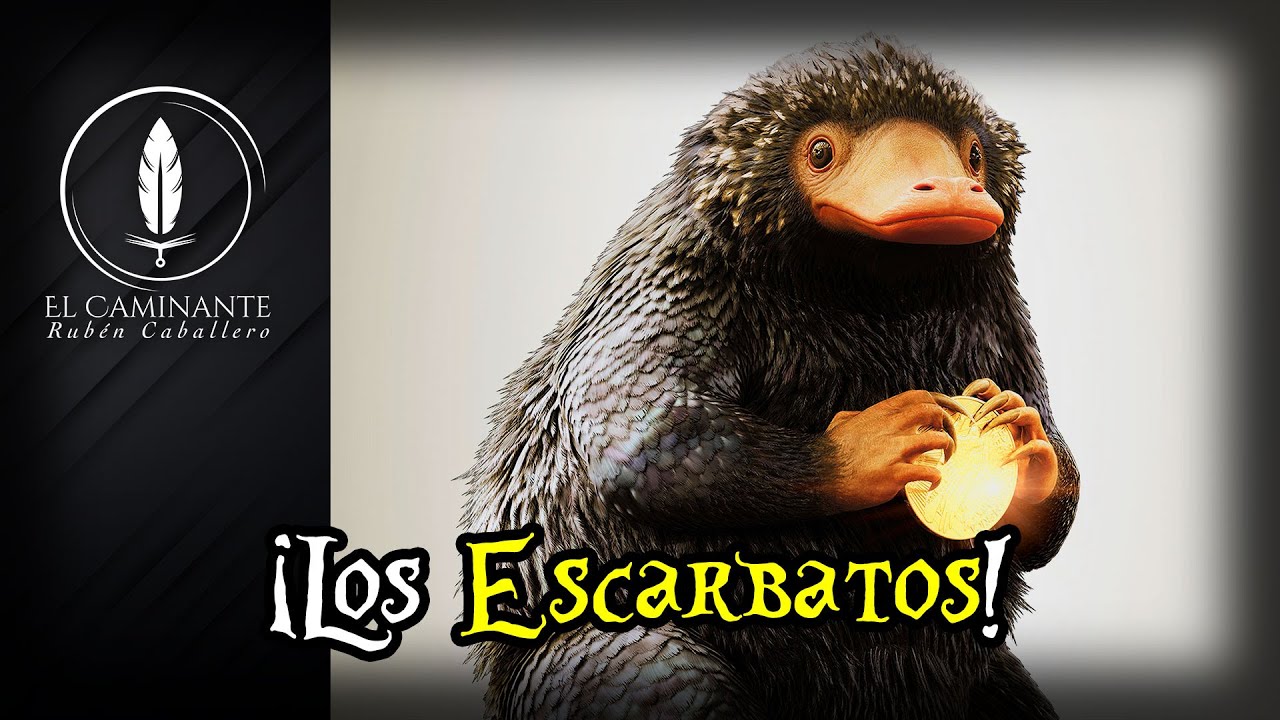 11 Curiosidades Sobre los Escarbatos